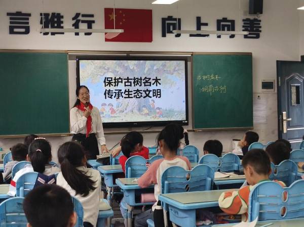 1759024974787085.jpg 12.jpg