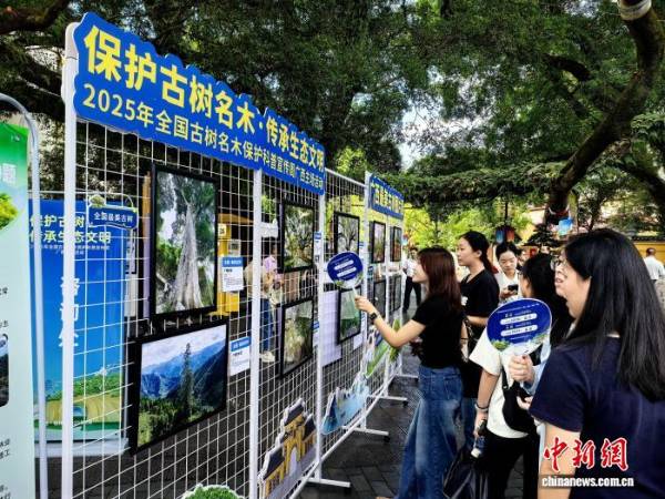 1759025223956942.png 15.png