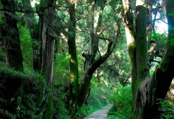 1759113107857348.png 1.png