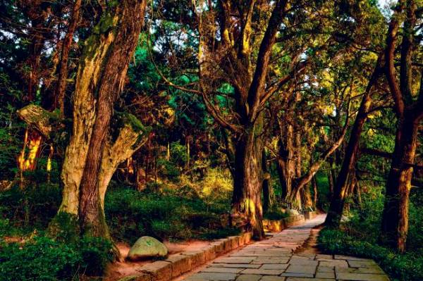 1759113111282506.png 2.png