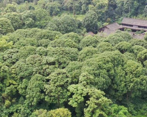 1759113155790243.png 4.png