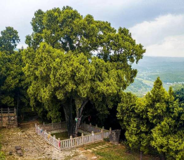 1759113194114988.png 8.png