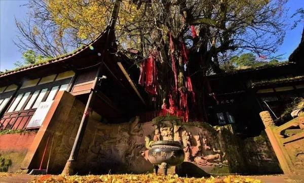 1759113206698436.jpg 9.jpg