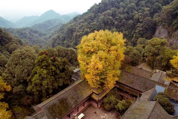 1759113209797331.png 10.png