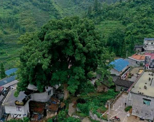 1759113220764705.png 11.png