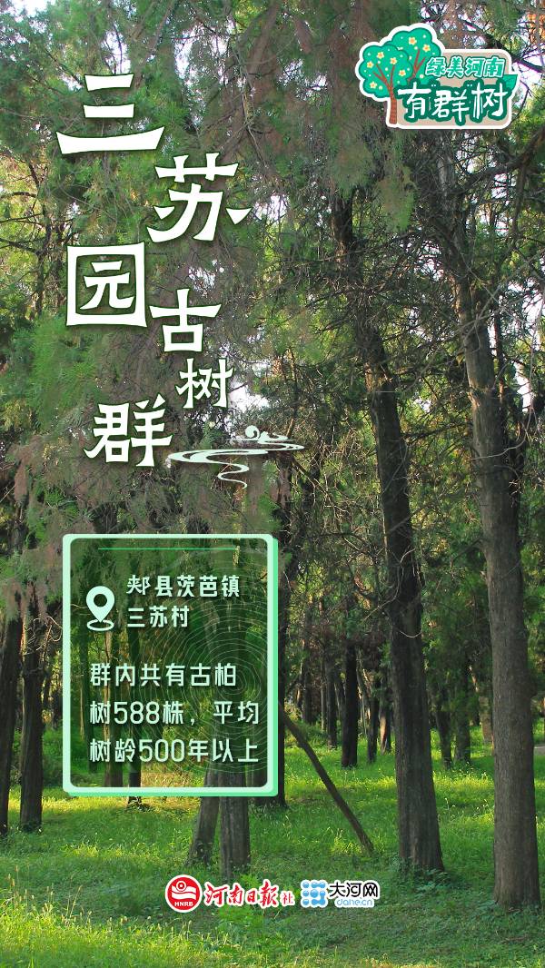 1759113503471274.jpg 1.jpg