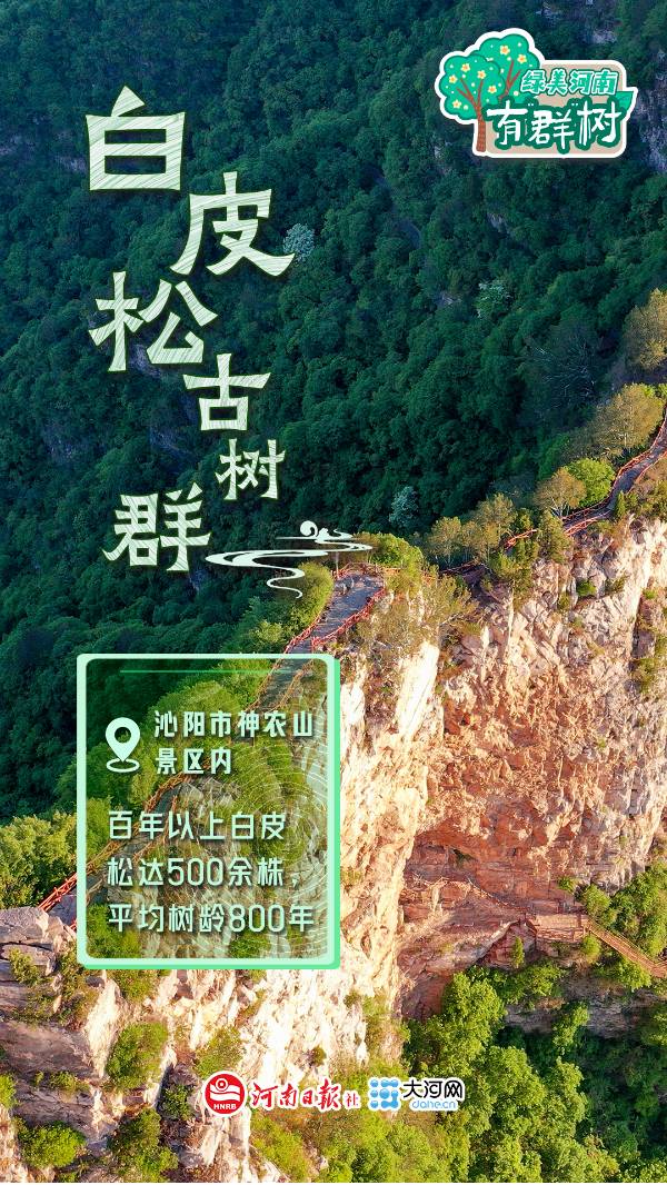 1759113507384368.jpg 2.jpg