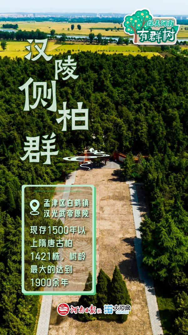 1759113510265187.jpg 3.jpg