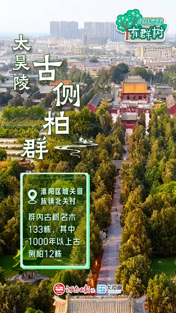 1759113513189581.jpg 4.jpg