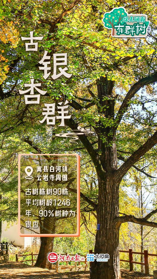 1759113517151697.jpg 5.jpg