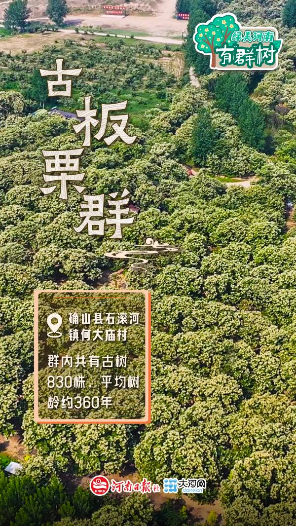 1759113520498378.jpg 6.jpg