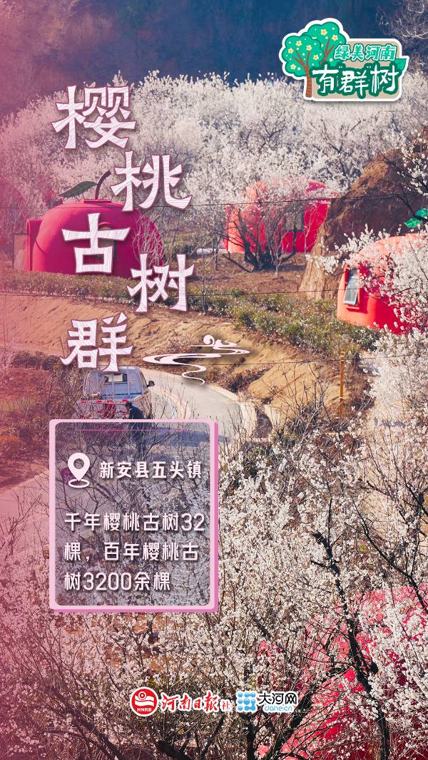 1759113524927653.jpg 7.jpg