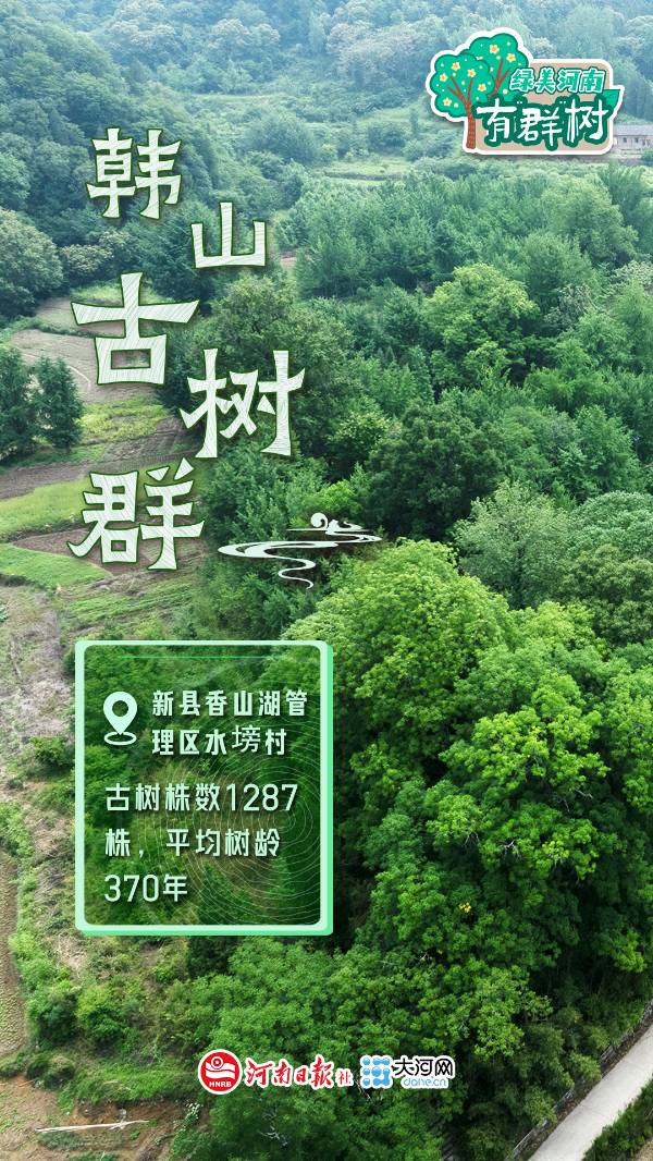 1759113527496879.jpg 8.jpg