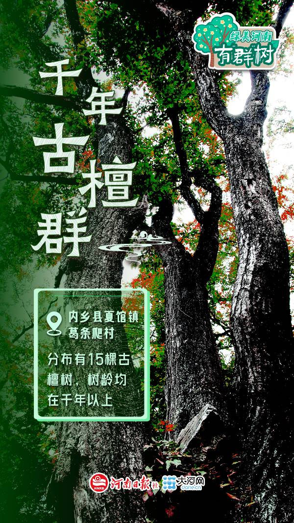 1759113530818464.jpg 9.jpg