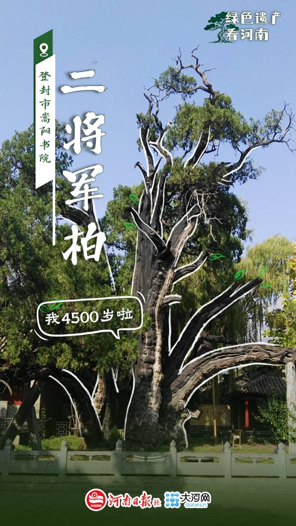 1759114039626572.jpg 1.jpg