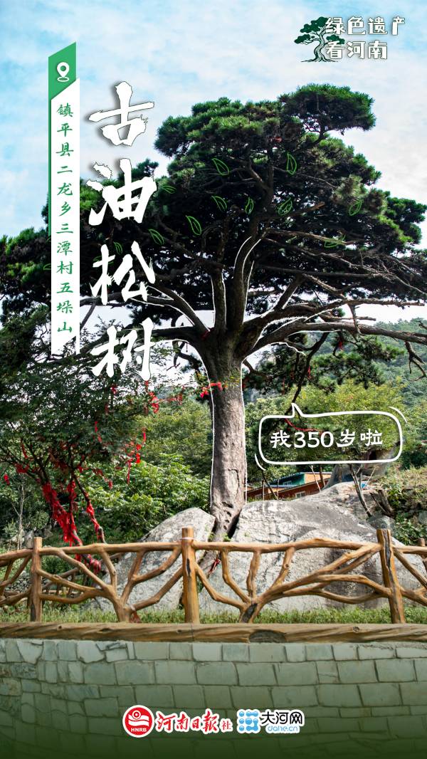 1759114050161998.jpg 2.jpg