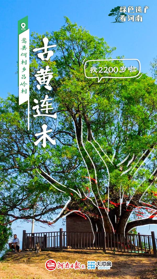 1759114054168793.jpg 3.jpg