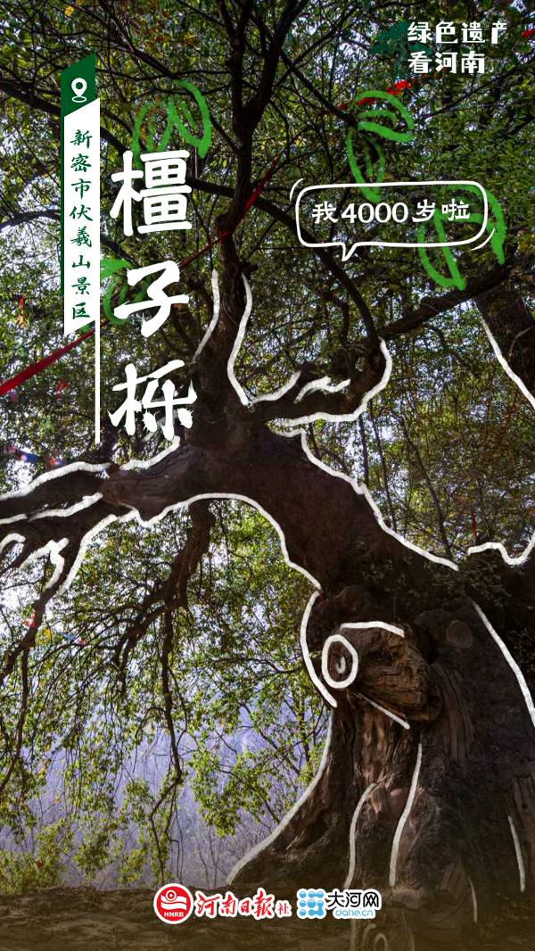 1759114057541019.jpg 4.jpg