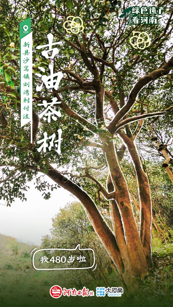 1759114061858331.jpg 5.jpg