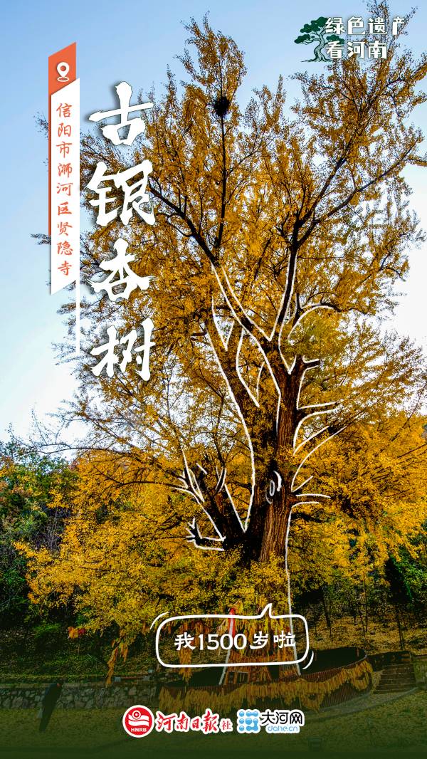 1759114064254124.jpg 6.jpg