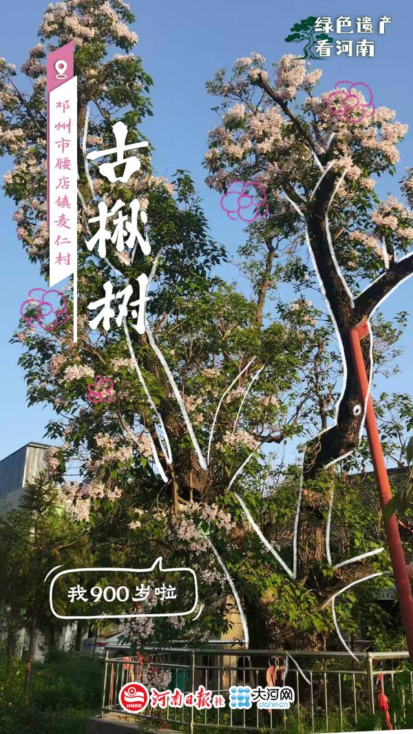 1759114068498049.jpg 7.jpg