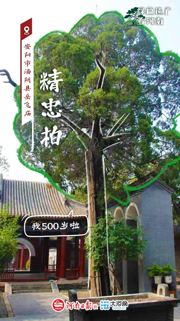 1759114071729217.jpg 8.jpg