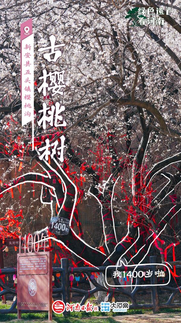 1759114074143422.jpg 9.jpg