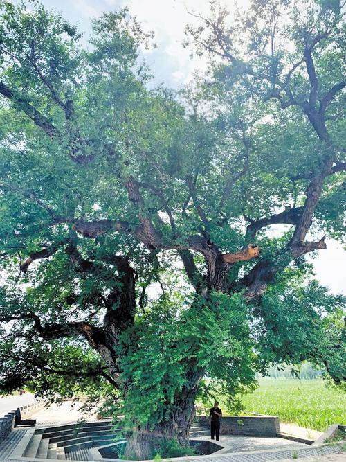 1759116309983808.jpg 微信图片_20250929112448_1132_115 (1).jpg