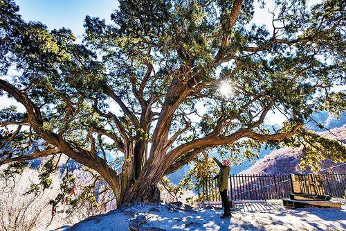 1759116489773312.jpg 微信图片_20250929112711_1133_115 (1).jpg