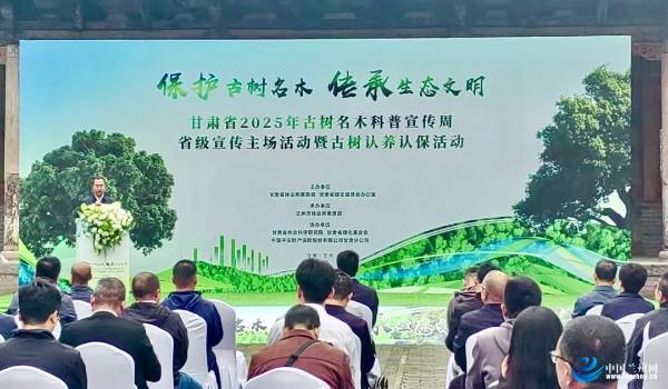 1759116956974533.jpg 1 (1).jpg