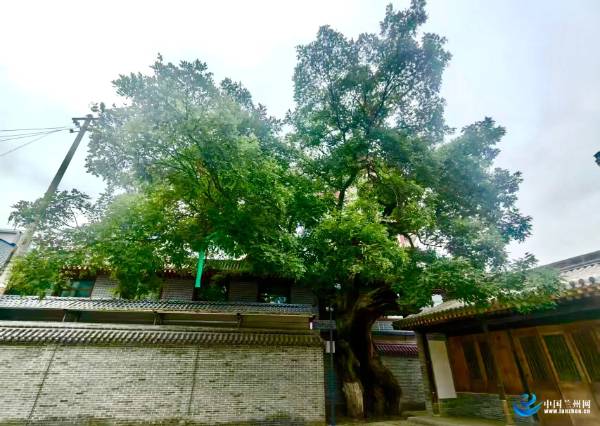 1759116964526230.jpg 2 (1).jpg