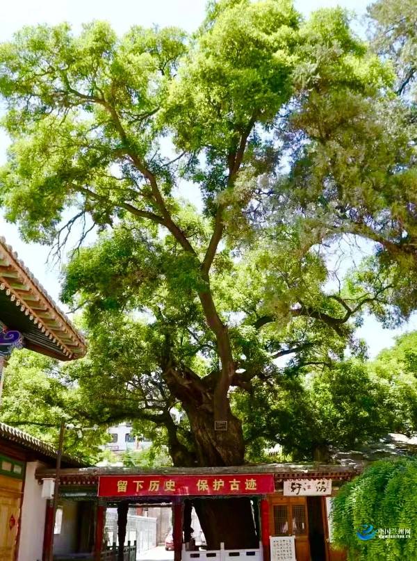 1759116974159755.jpg 3 (1).jpg