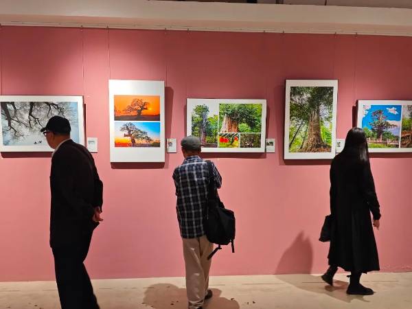 1759117336341914.jpg 2.jpg