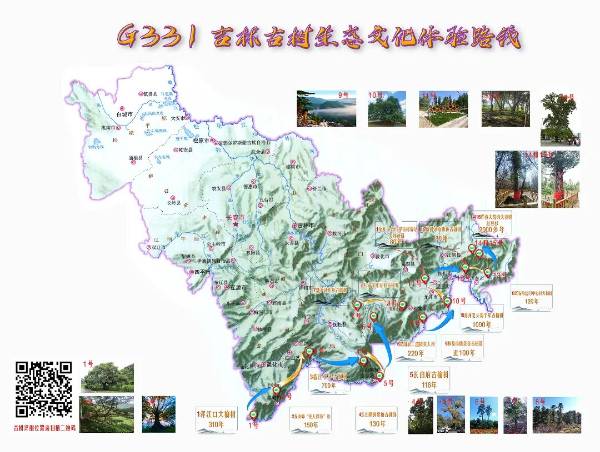 1759117343419952.jpg 4.jpg