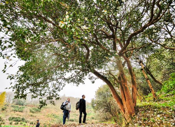 1759121739942389.png 1.png