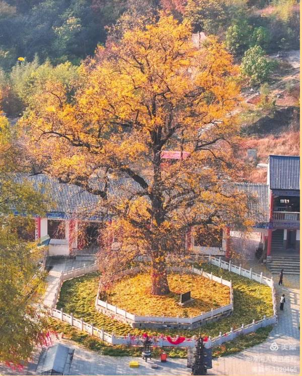 1759121745437566.png 2.png