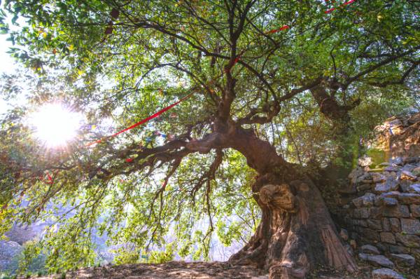 1759121752110574.png 3.png