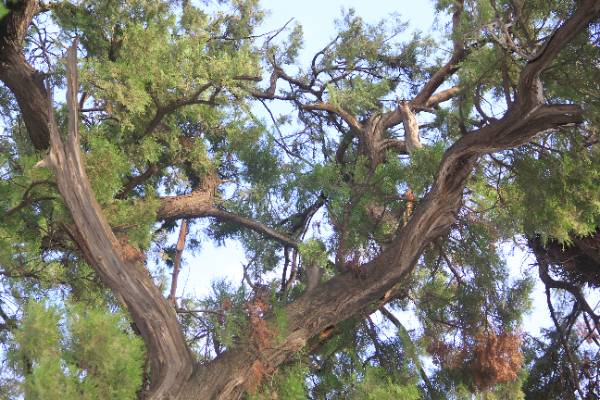 1759121758254756.jpg 4.jpg