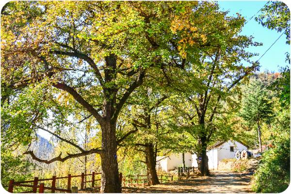 1759121766726007.jpg 5.jpg