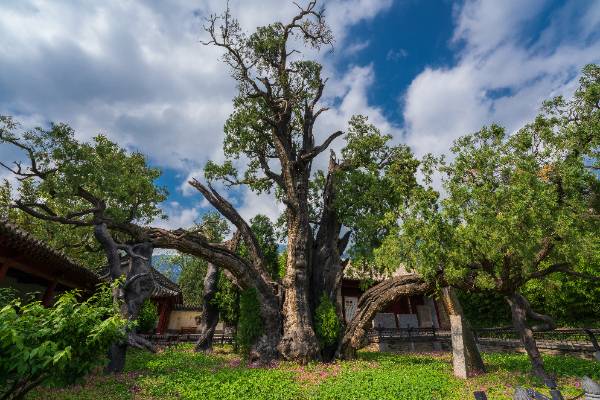 1759121835494905.jpg 6 (1).jpg