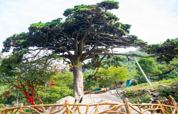 1759121842786454.png 7.png