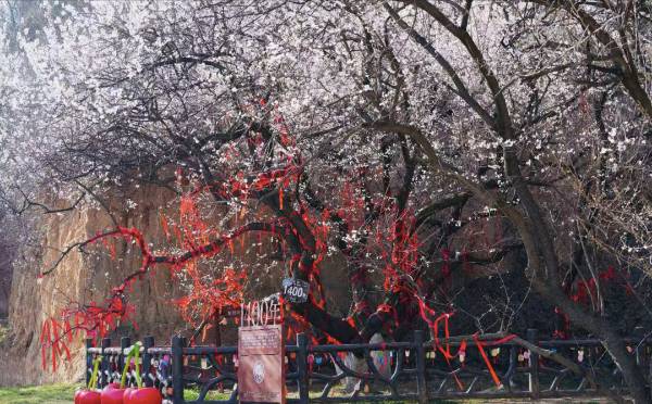 1759121849983014.png 8.png