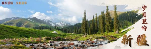 1759123149844511.jpg 1.jpg