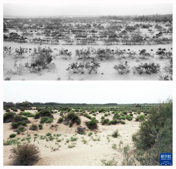 1759123164151655.jpg 4.jpg