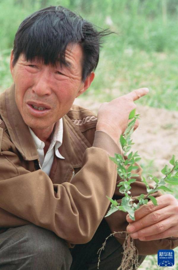 1759123171416103.jpg 5.jpg