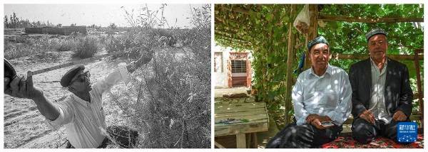 1759123191642918.jpg 8.jpg