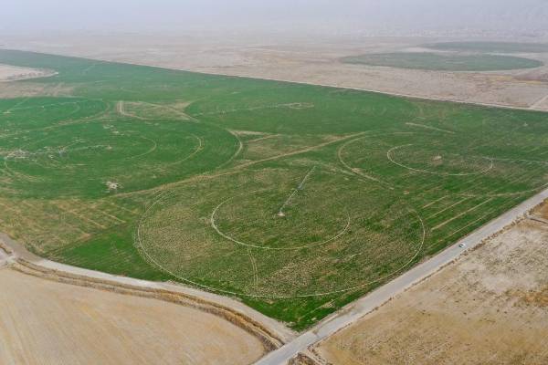 1759123232941415.jpg 12.jpg