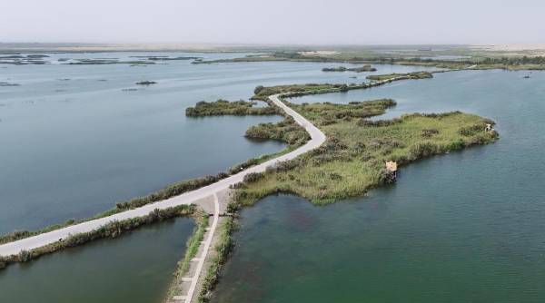 1759123239796576.jpg 13.jpg