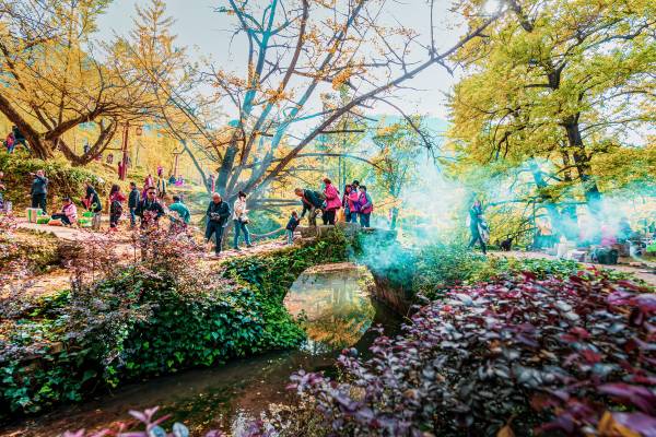 1759123693903834.jpg 1.jpg