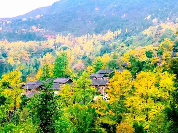 1759123703931265.jpg 2.jpg